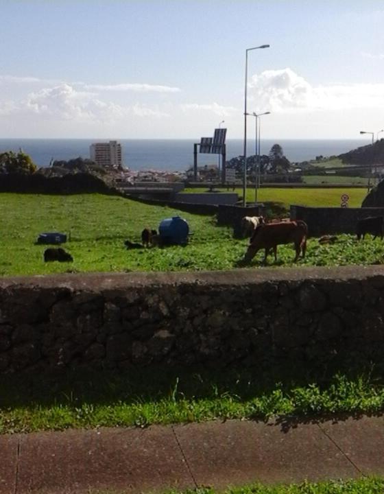 Ocean View Flat Apartment Ponta Delgada Exterior foto